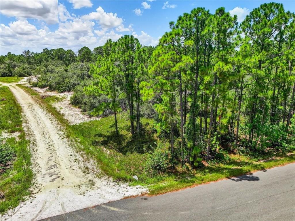 385 Jack Weisser Boulevard Lake Placid FL 33852 S5132372 image1