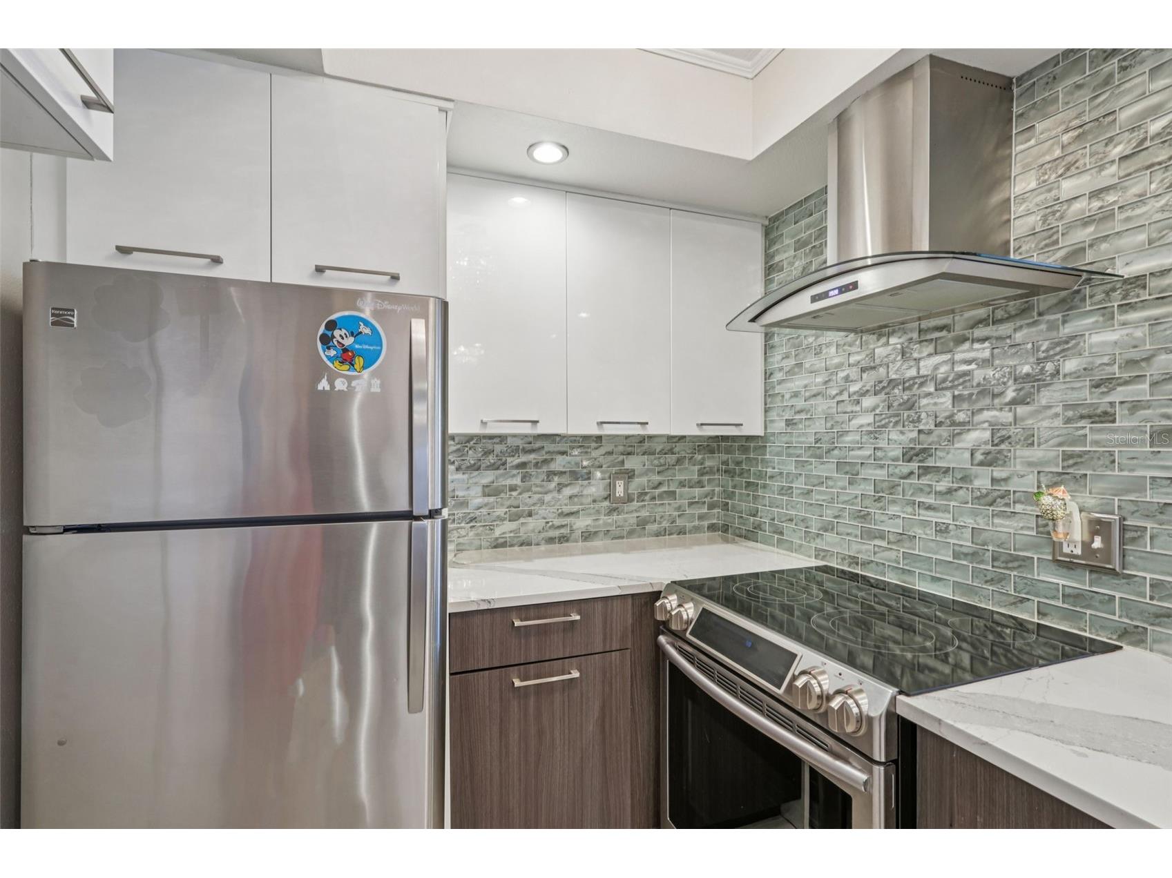 3850 13th Avenue N #203 Saint Petersburg FL 33713 TB8474232 image15