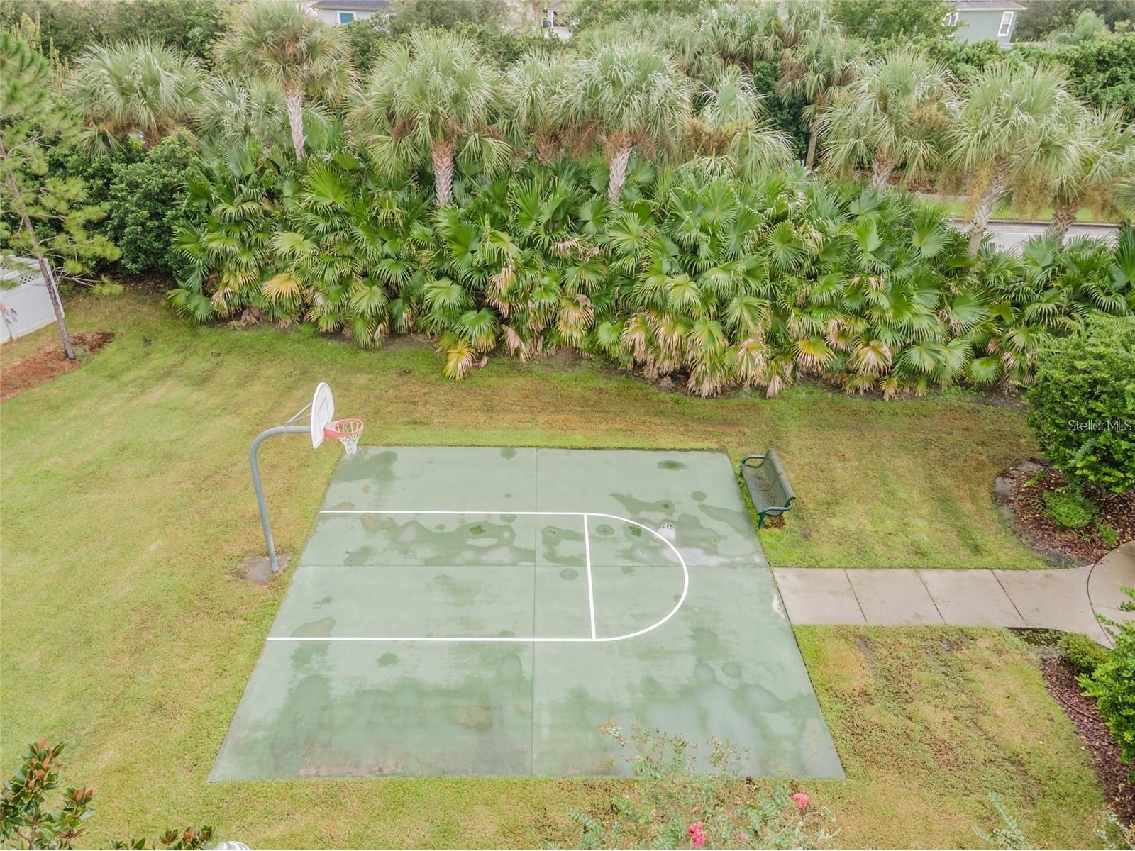 3850 Claybrook Drive Wesley Chapel FL 33544 TB8497192 image56
