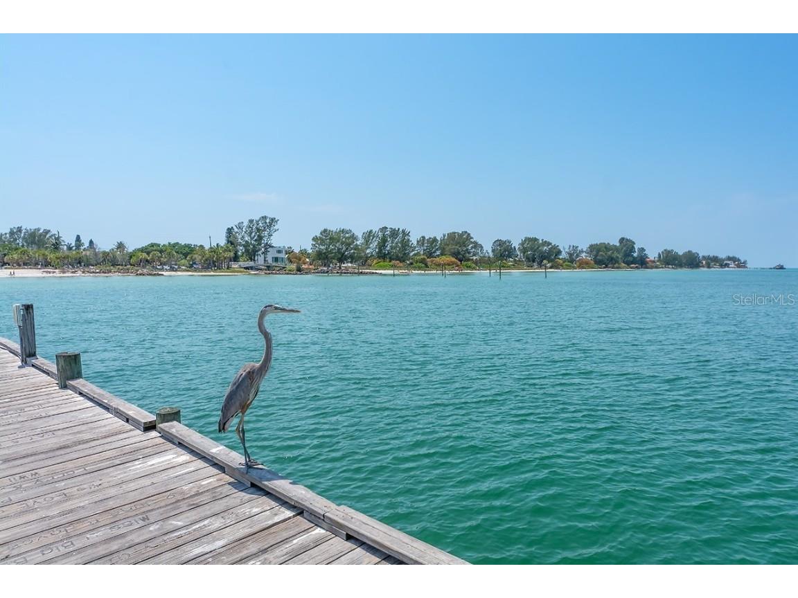 3850 Mariners Walk #714 Cortez FL 34215 - PALMA SOLA BAY A4672528 image44