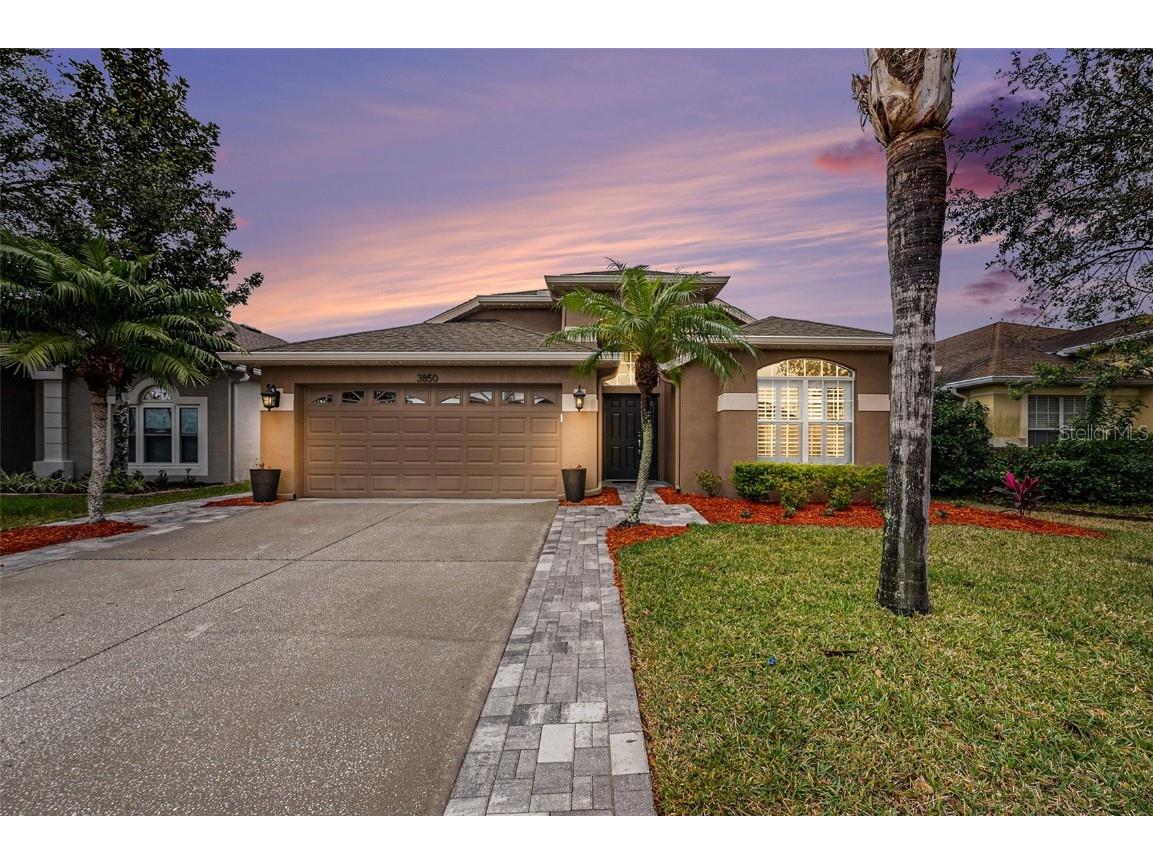 3850 Olde Lanark Drive Land O Lakes FL 34638 TB8341337 image1
