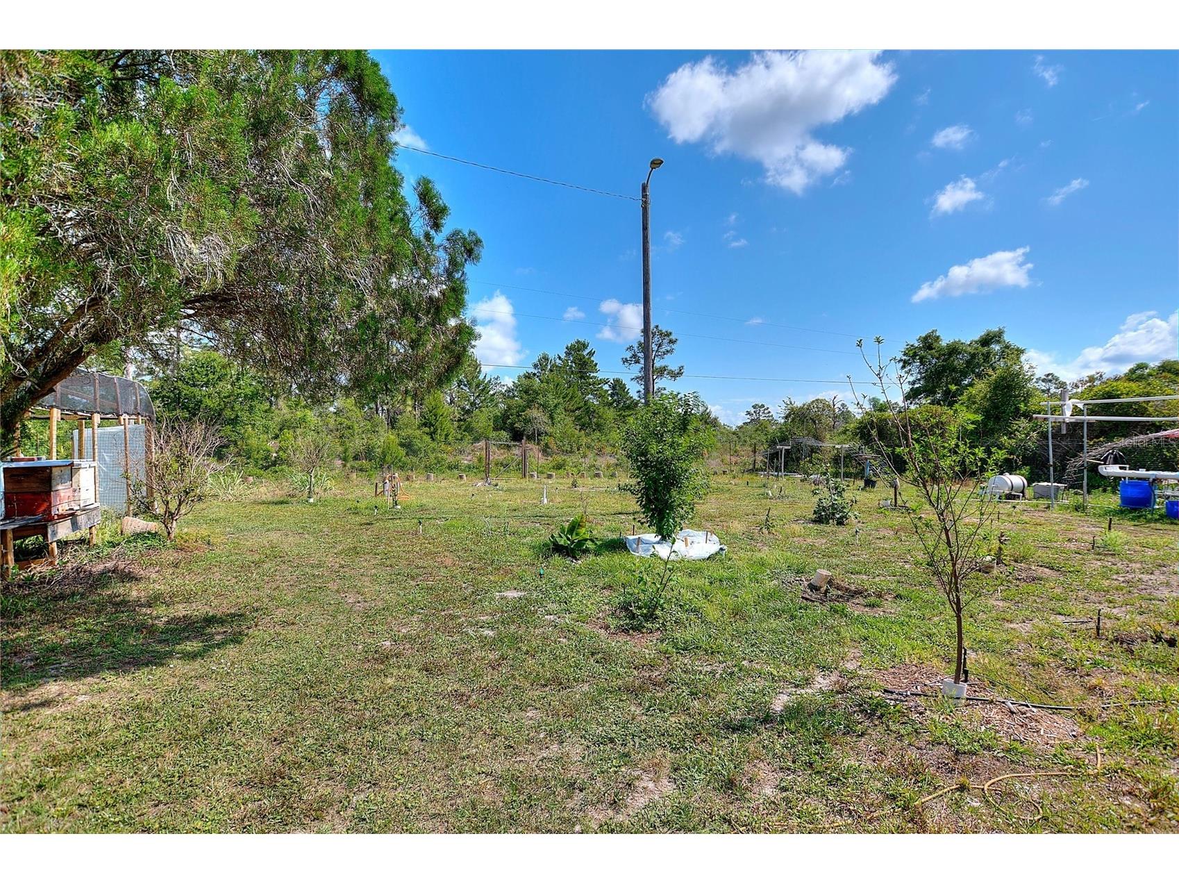 3850 Park Avenue Indian Lake Estates FL 33855 - LAKE WALK IN WATER P4938576 image52