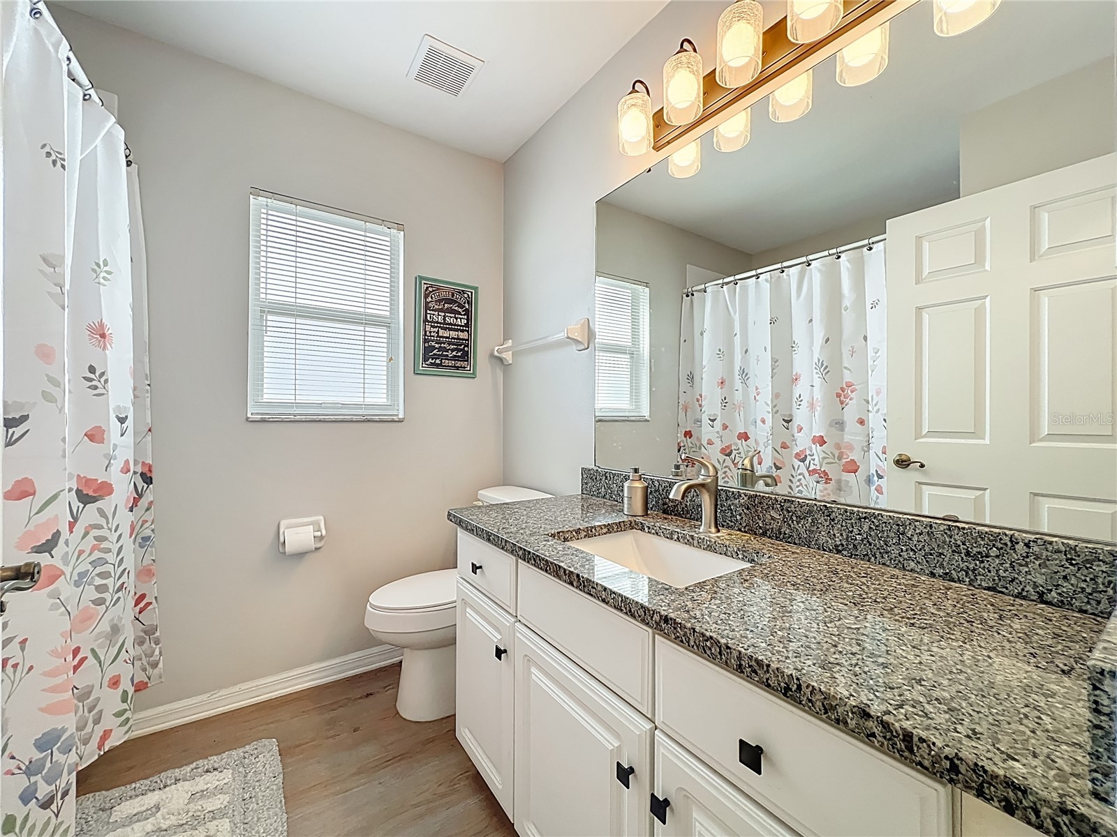 3850 Plantation Boulevard Leesburg FL 34748 G5108438 image44