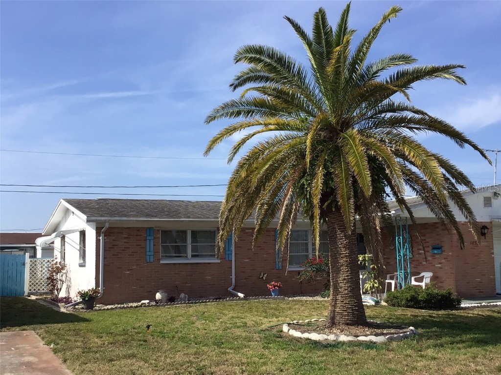 3850 Sablewood Drive Holiday FL 34691 TB8377690 image29