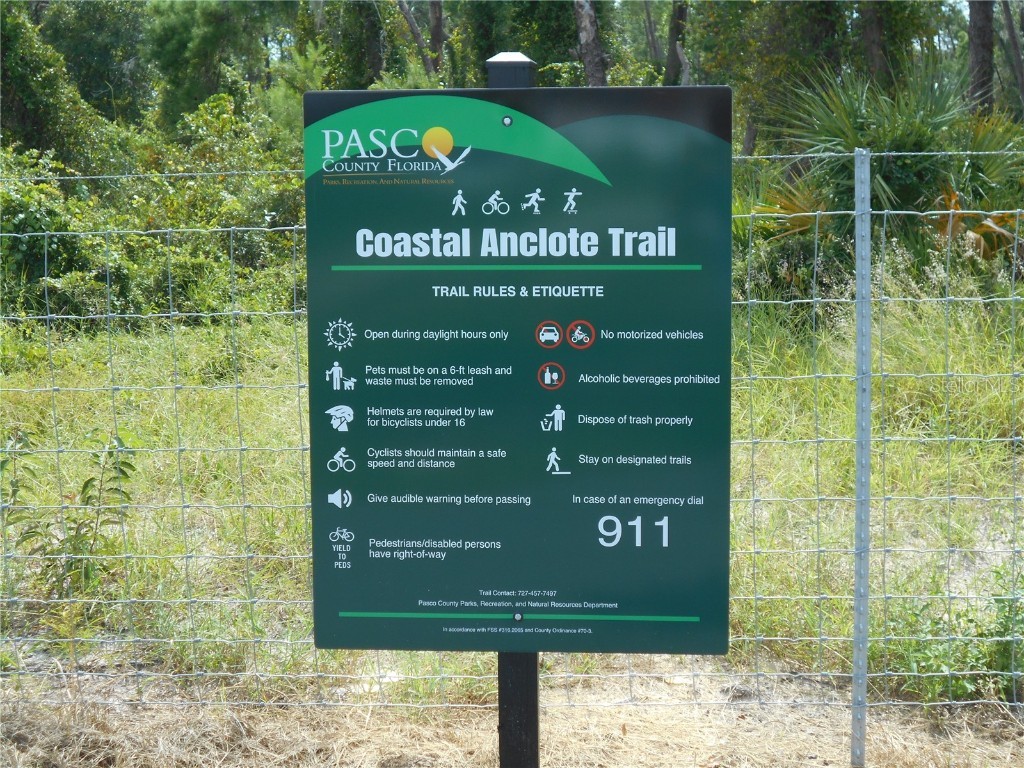 3850 Sablewood Drive Holiday FL 34691 TB8377690 image36