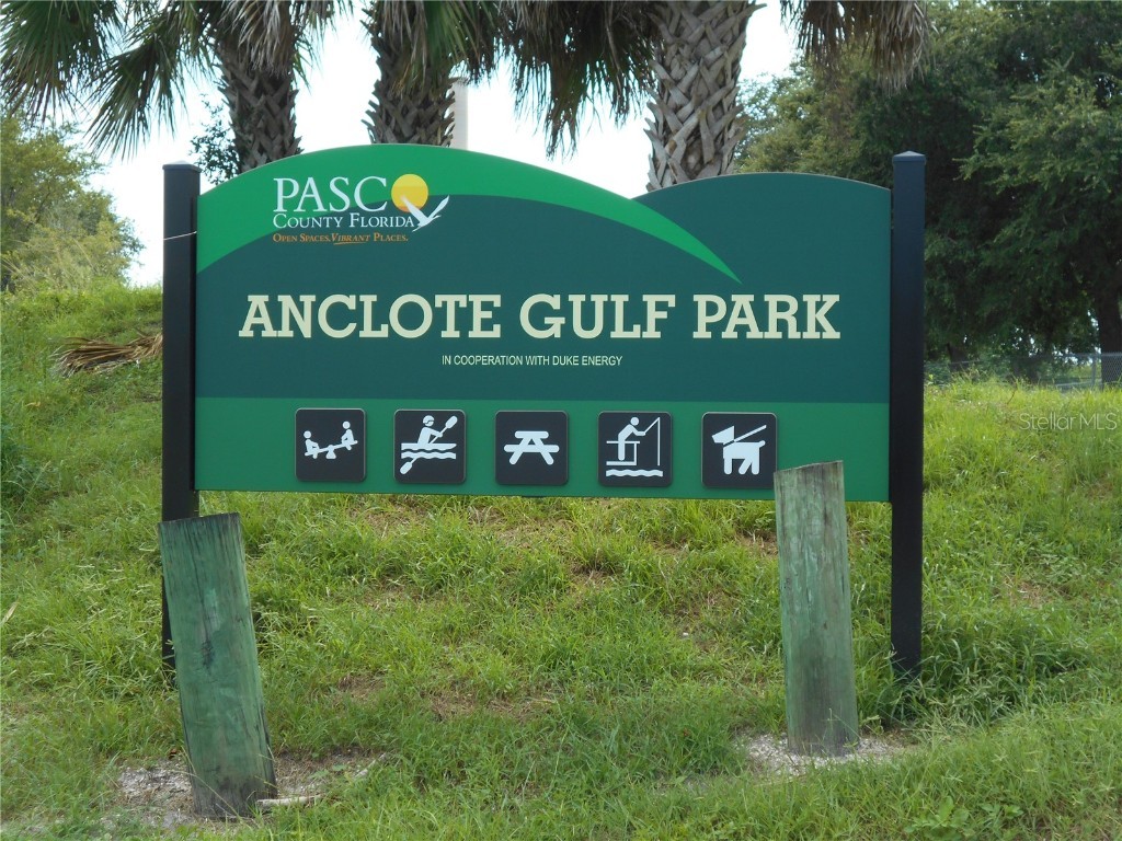 3850 Sablewood Drive Holiday FL 34691 TB8377690 image39