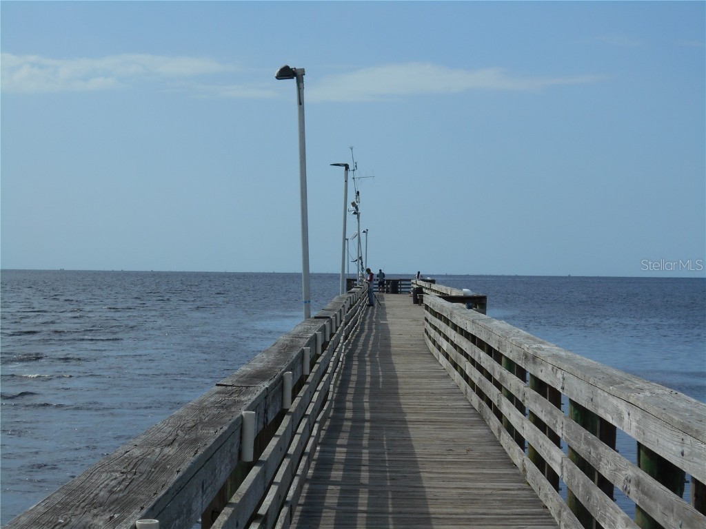 3850 Sablewood Drive Holiday FL 34691 TB8377690 image40