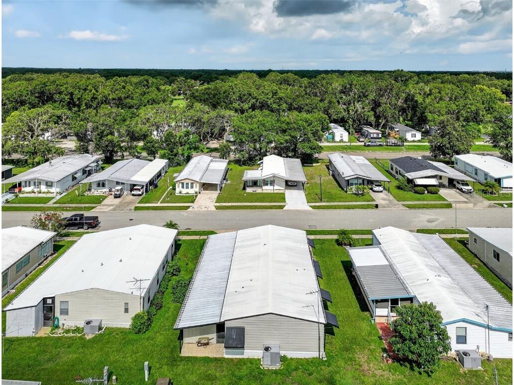 3850 Sarah Drive Wesley Chapel FL 33543 TB8403072 image29