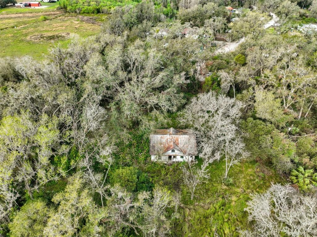 38506 Higginson Road Zephyrhills FL 33540 TB8351432 image1