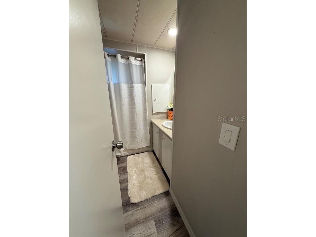 38507 Windflower Avenue Zephyrhills FL 33542 TB8412693 image27