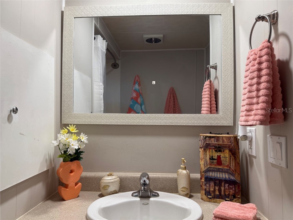 38507 Windflower Avenue Zephyrhills FL 33542 TB8412693 image29