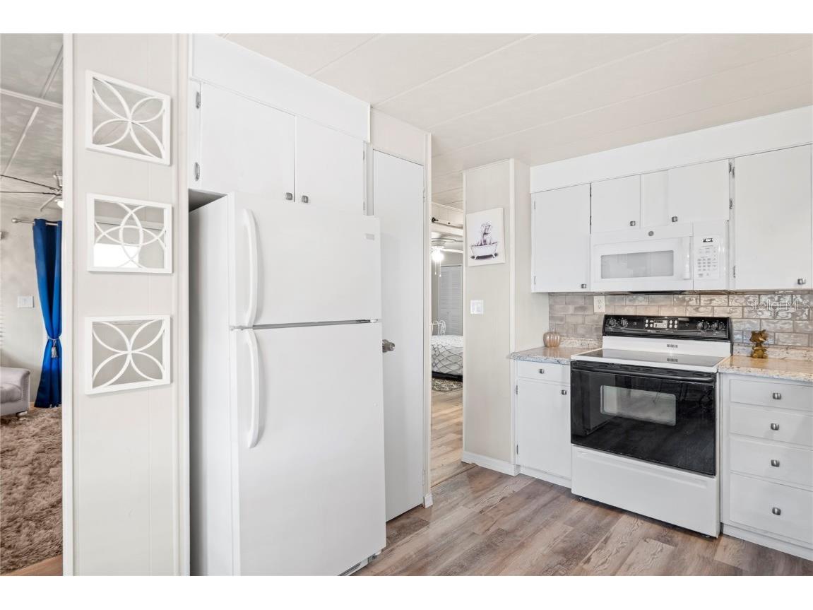 38507 Windflower Avenue Zephyrhills FL 33542 TB8412693 image7