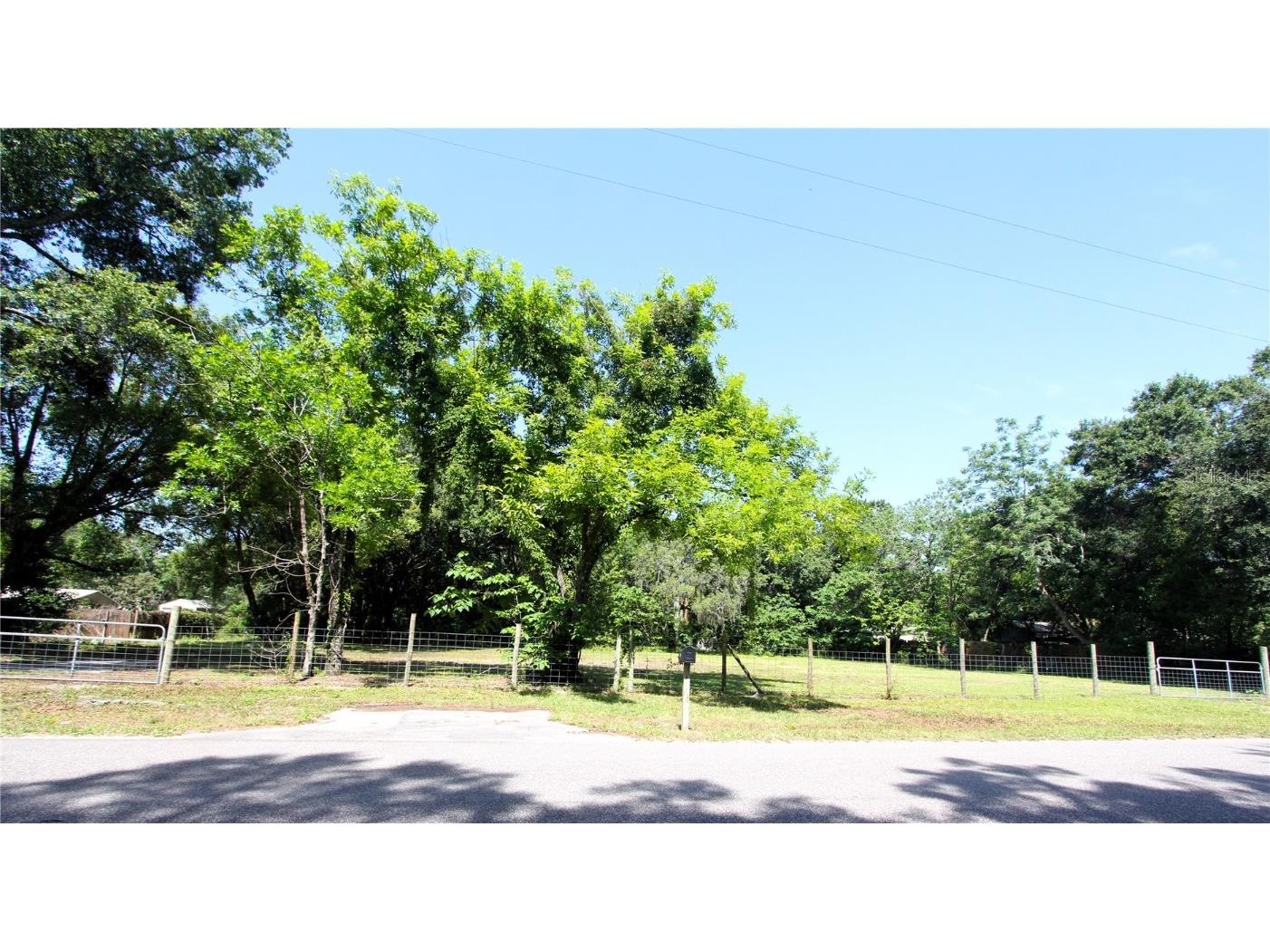 3851 Autumn Palm Drive Zephyrhills FL 33541 T3524753 image1