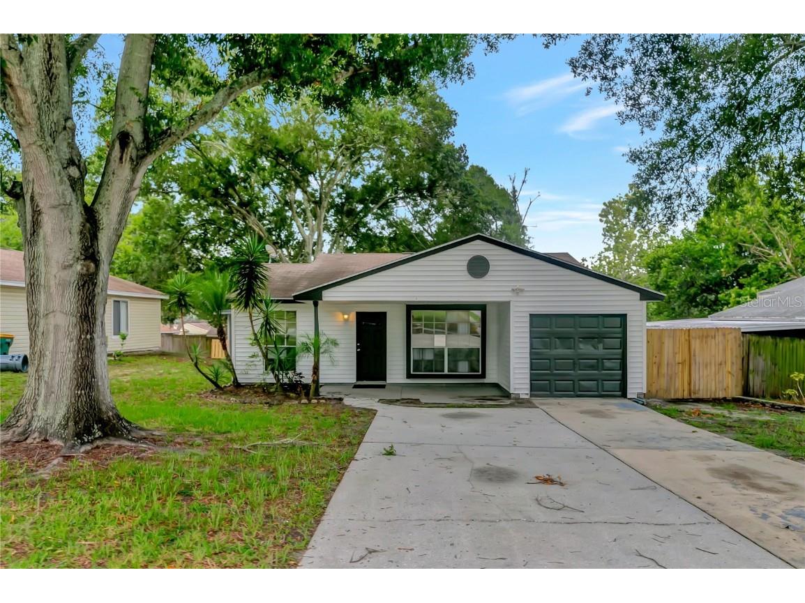 3851 Lake St George Drive Palm Harbor FL 34684 T3455146 image1