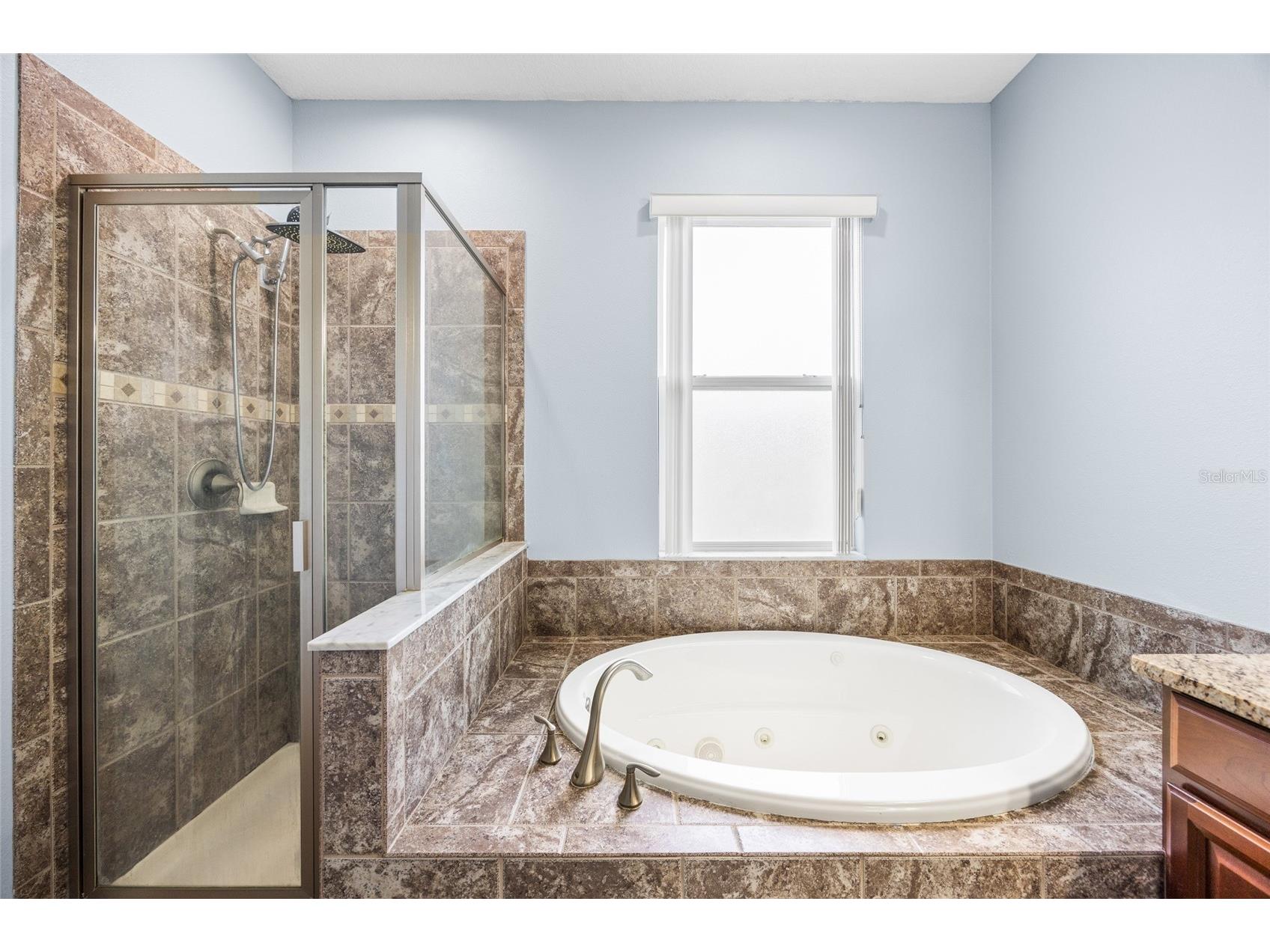 3851 Pacente Loop Wesley Chapel FL 33543 TB8515262 image19