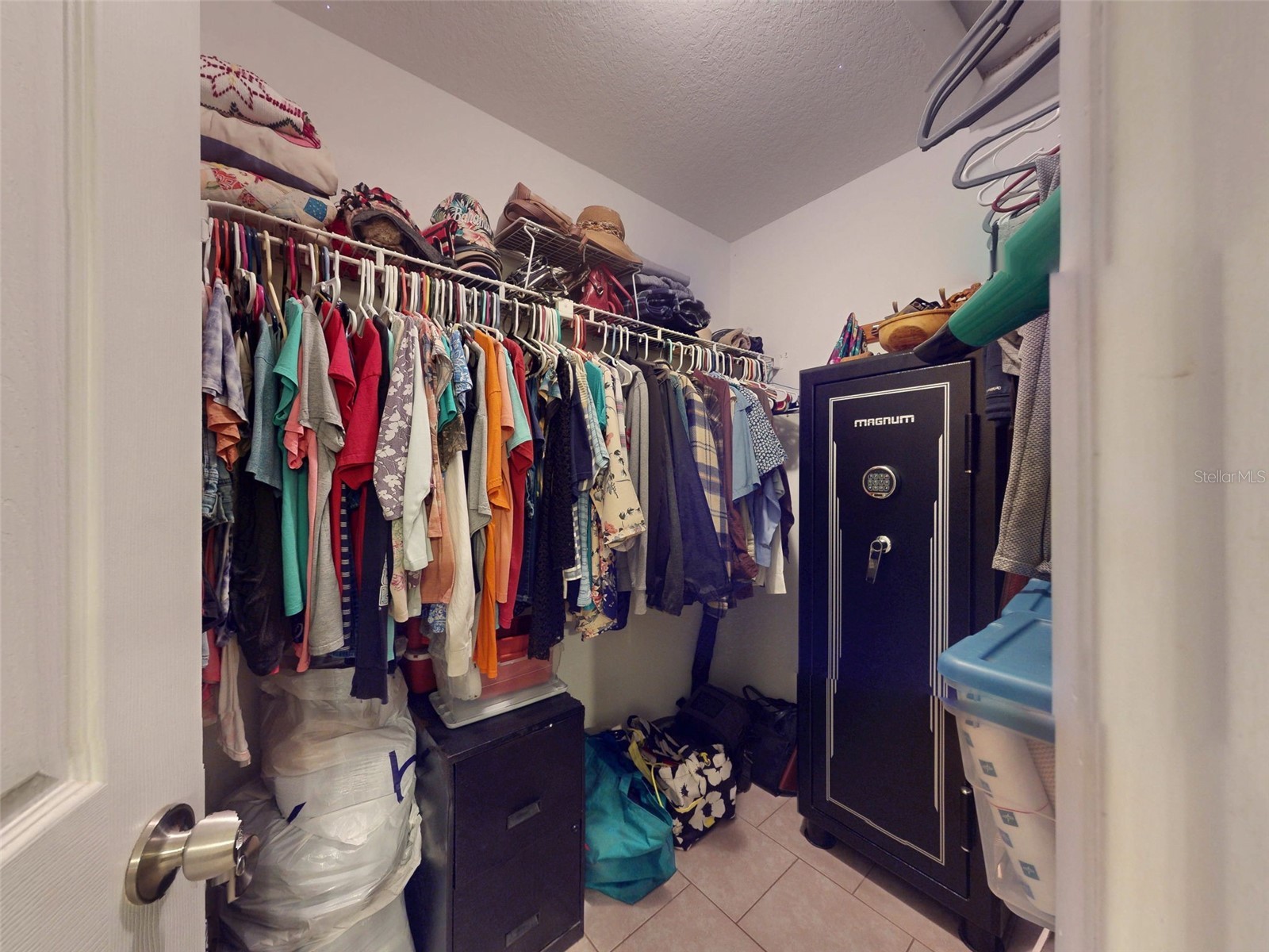 3851 Thistlewood Way Okahumpka FL 34762 G5104662 image32