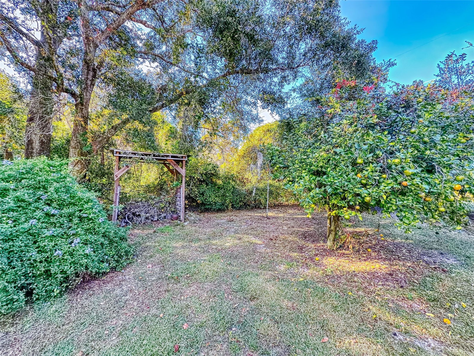 3851 Thistlewood Way Okahumpka FL 34762 G5104662 image55