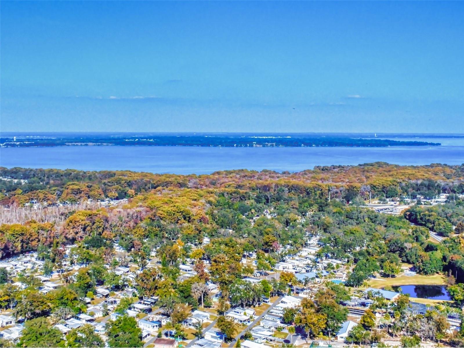 3851 Thistlewood Way Okahumpka FL 34762 G5104662 image81