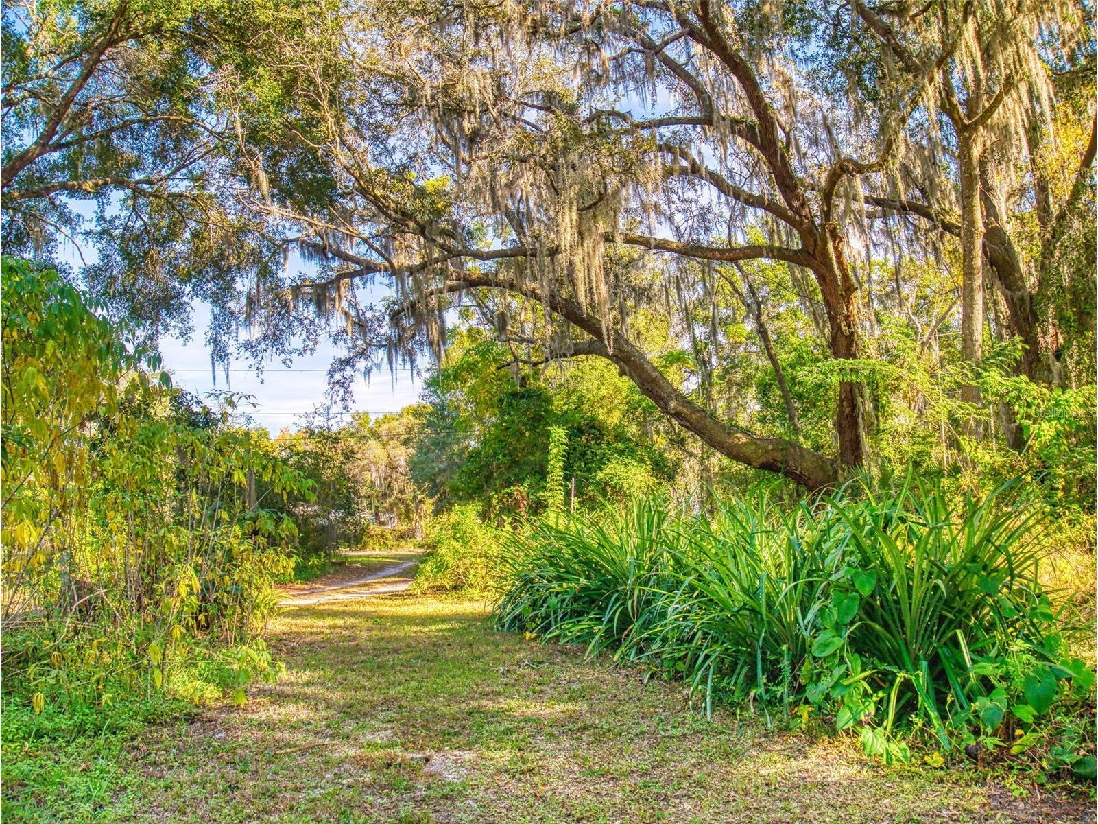 3851 Thistlewood Way Okahumpka FL 34762 G5104662 image84