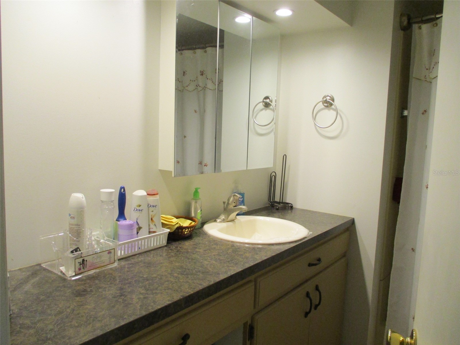 38513 Willoughby Drive Zephyrhills FL 33540 TB8516870 image14