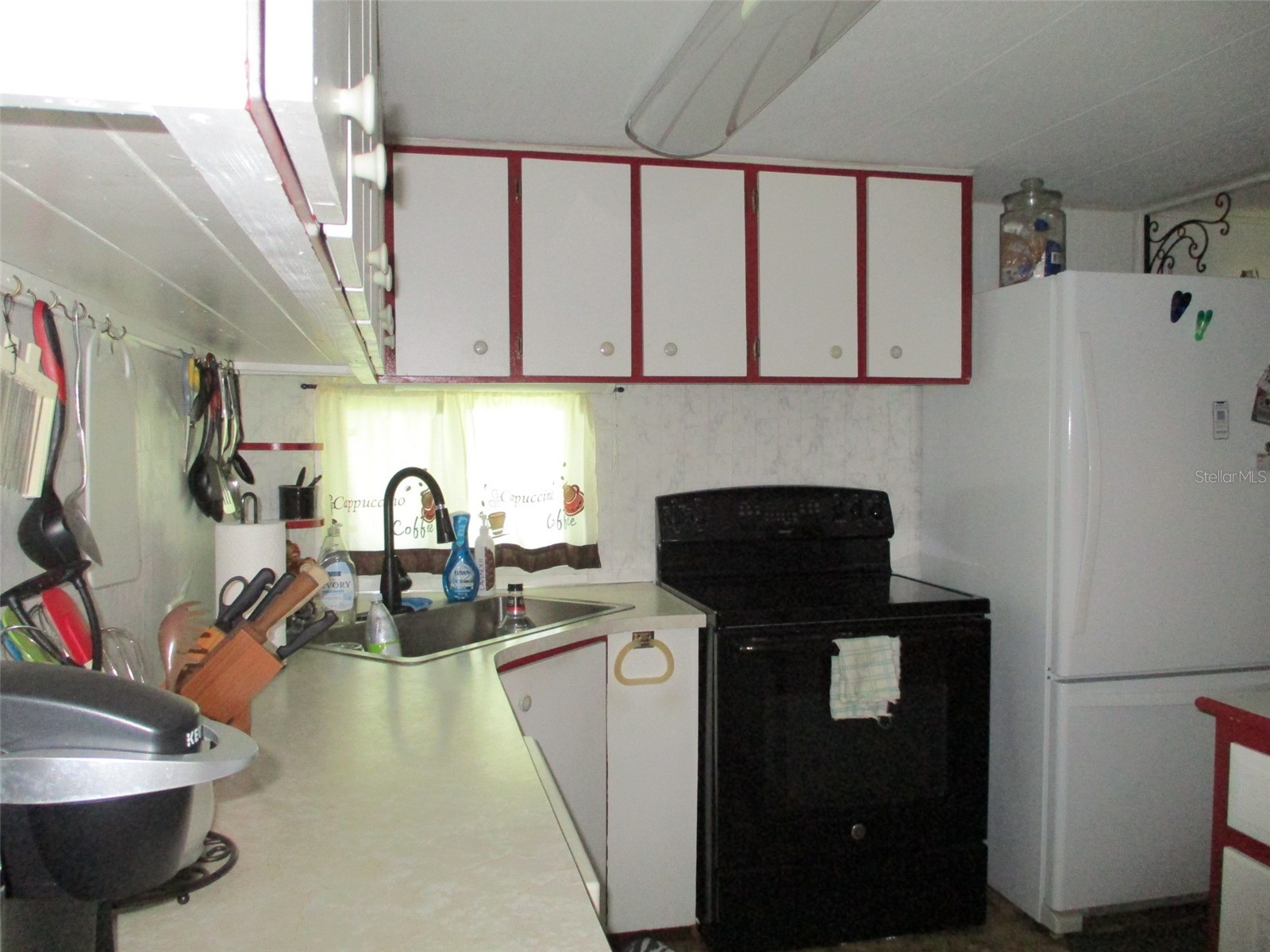 38513 Willoughby Drive Zephyrhills FL 33540 TB8516870 image4