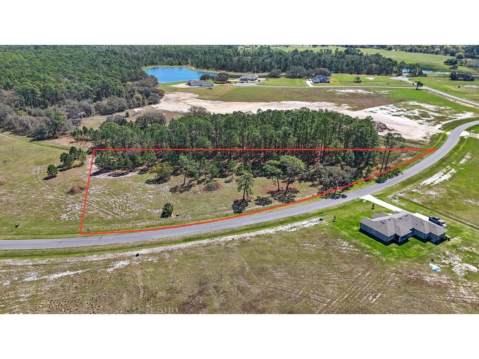 38514 Wooded Meadow Drive Umatilla FL 32784 - LAKE DALHOUSIE O6393238 image1