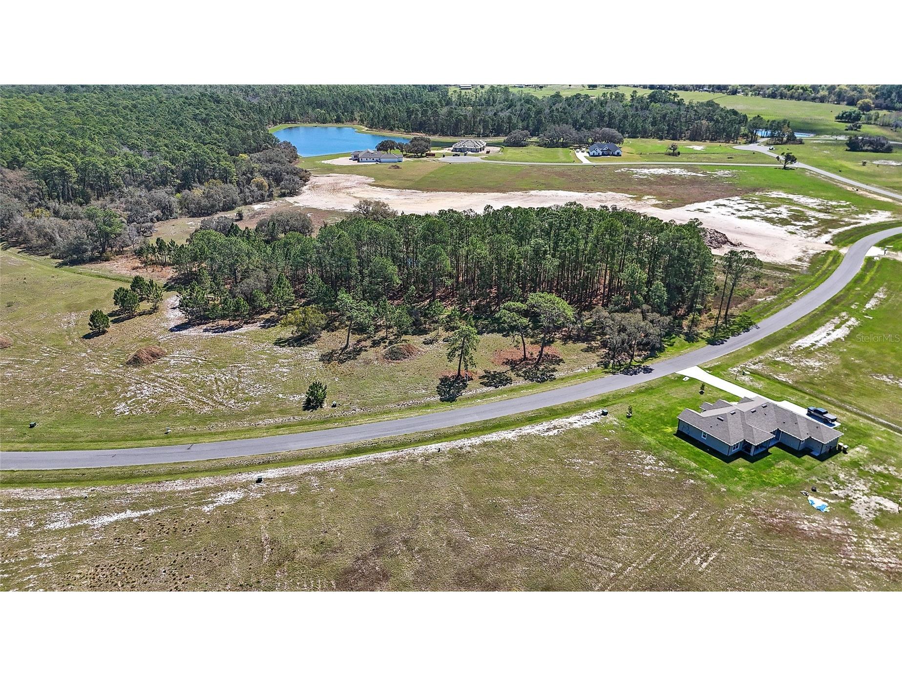 38514 Wooded Meadow Drive Umatilla FL 32784 - LAKE DALHOUSIE O6393238 image11