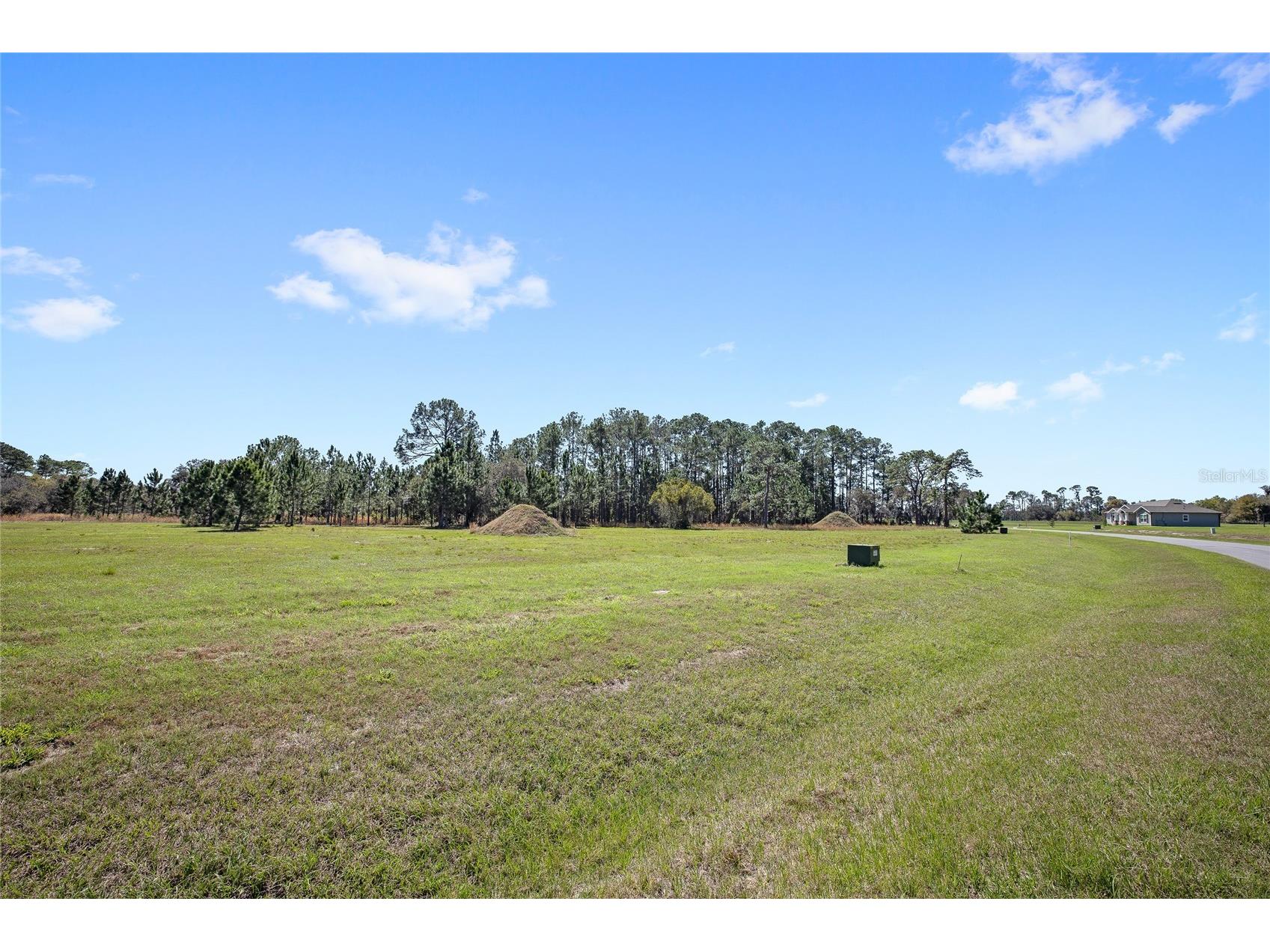 38514 Wooded Meadow Drive Umatilla FL 32784 - LAKE DALHOUSIE O6393238 image2