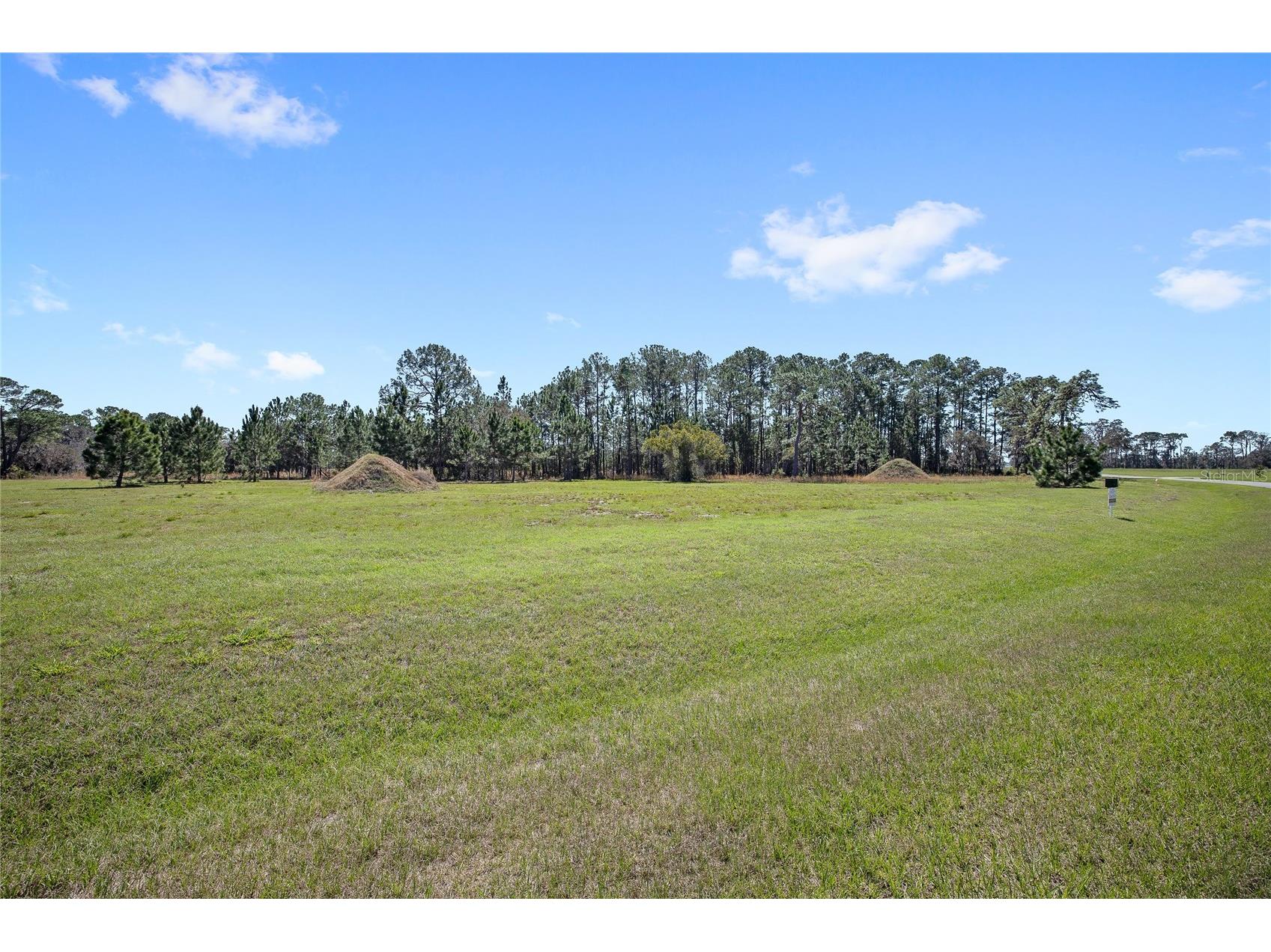 38514 Wooded Meadow Drive Umatilla FL 32784 - LAKE DALHOUSIE O6393238 image3