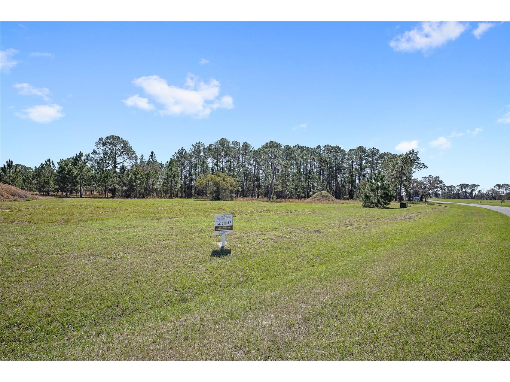 38514 Wooded Meadow Drive Umatilla FL 32784 - LAKE DALHOUSIE O6393238 image4