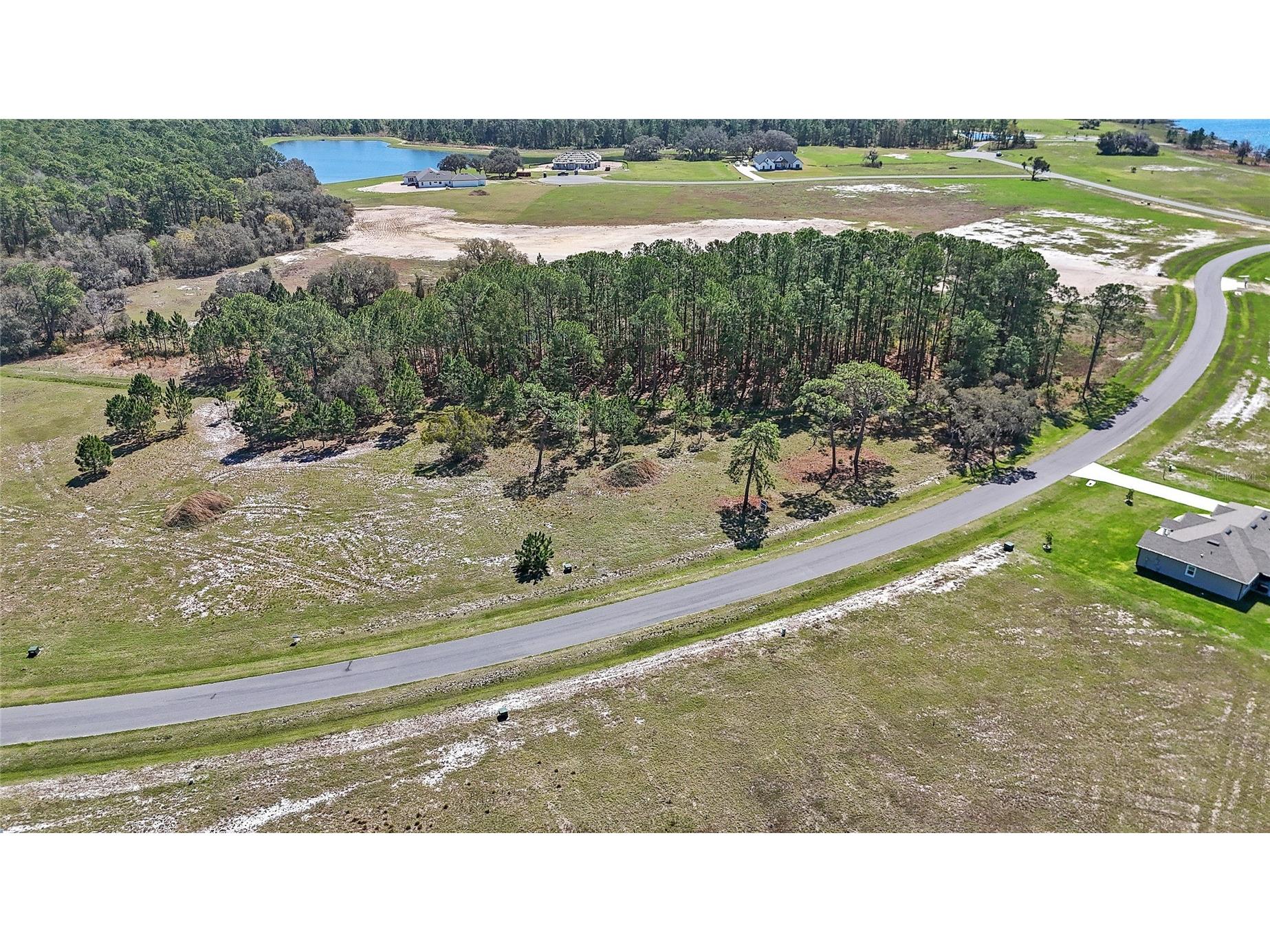 38514 Wooded Meadow Drive Umatilla FL 32784 - LAKE DALHOUSIE O6393238 image7