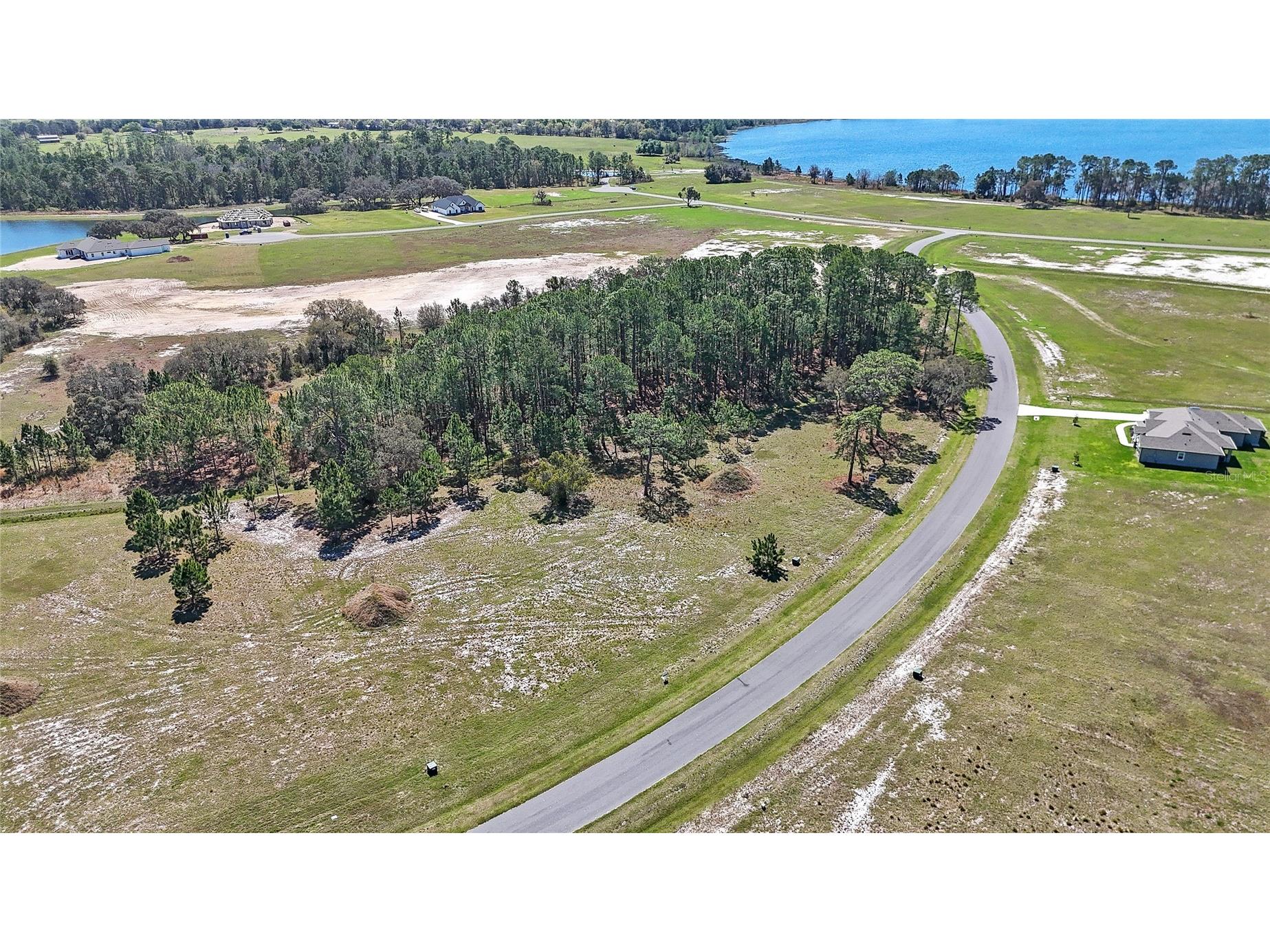 38514 Wooded Meadow Drive Umatilla FL 32784 - LAKE DALHOUSIE O6393238 image8
