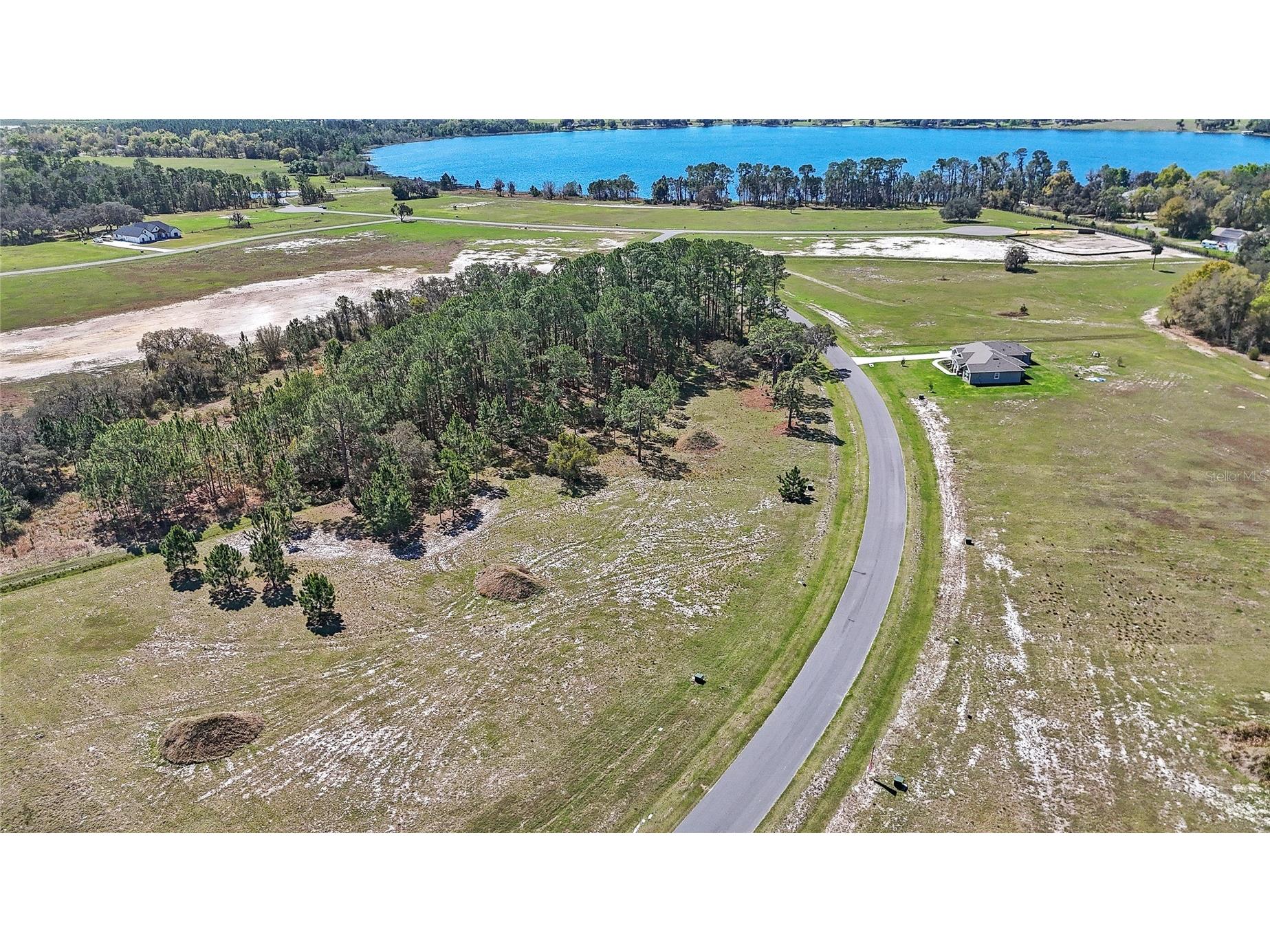 38514 Wooded Meadow Drive Umatilla FL 32784 - LAKE DALHOUSIE O6393238 image9