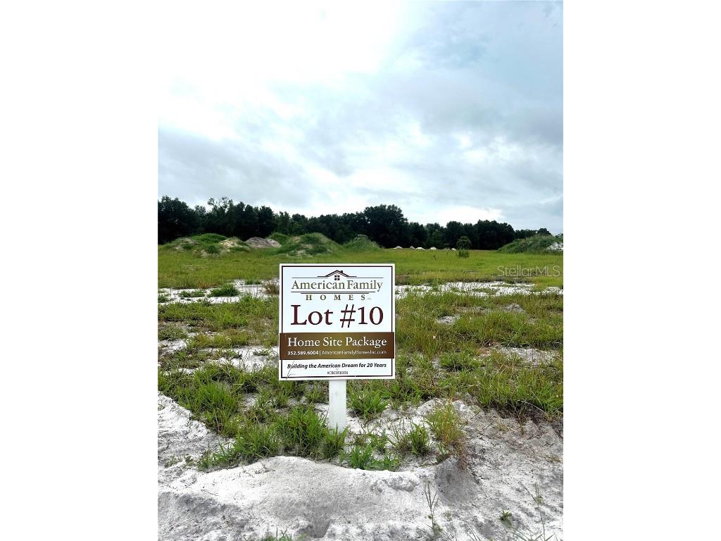 38517 Wooded Meadow Drive Umatilla FL 32784 - LAKE DALHOUSIE G5084778 image1