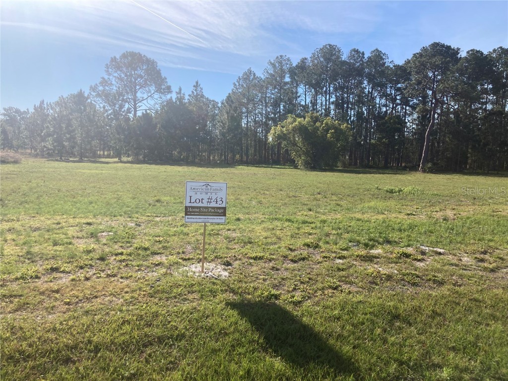 38518 Wooded Meadow Drive Umatilla FL 32784 - LAKE DALHOUSIE G5094829 image1