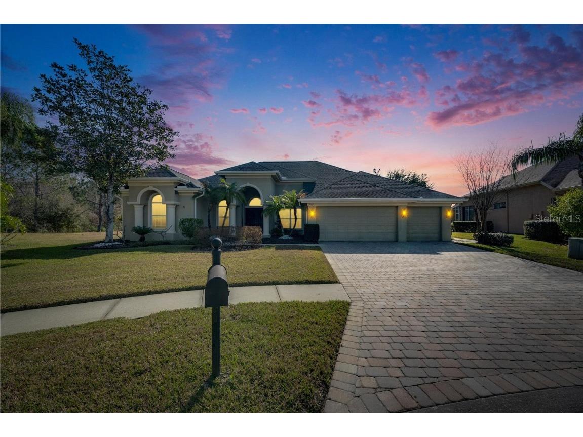 3852 Sorrel Vine Drive Wesley Chapel FL 33544 TB8347356 image1