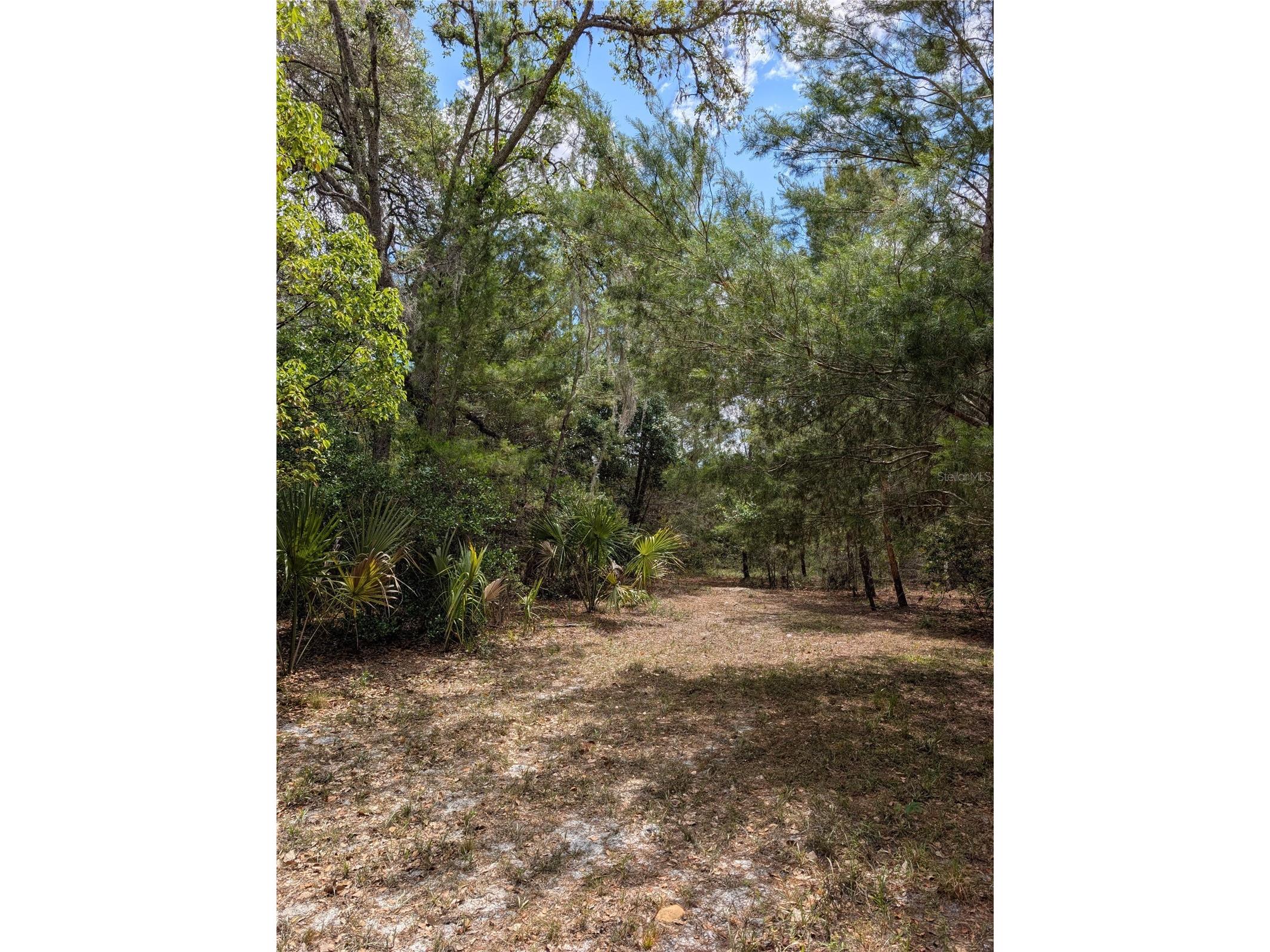 38521 Ilex Trail Eustis FL 32736 O6402556 image10