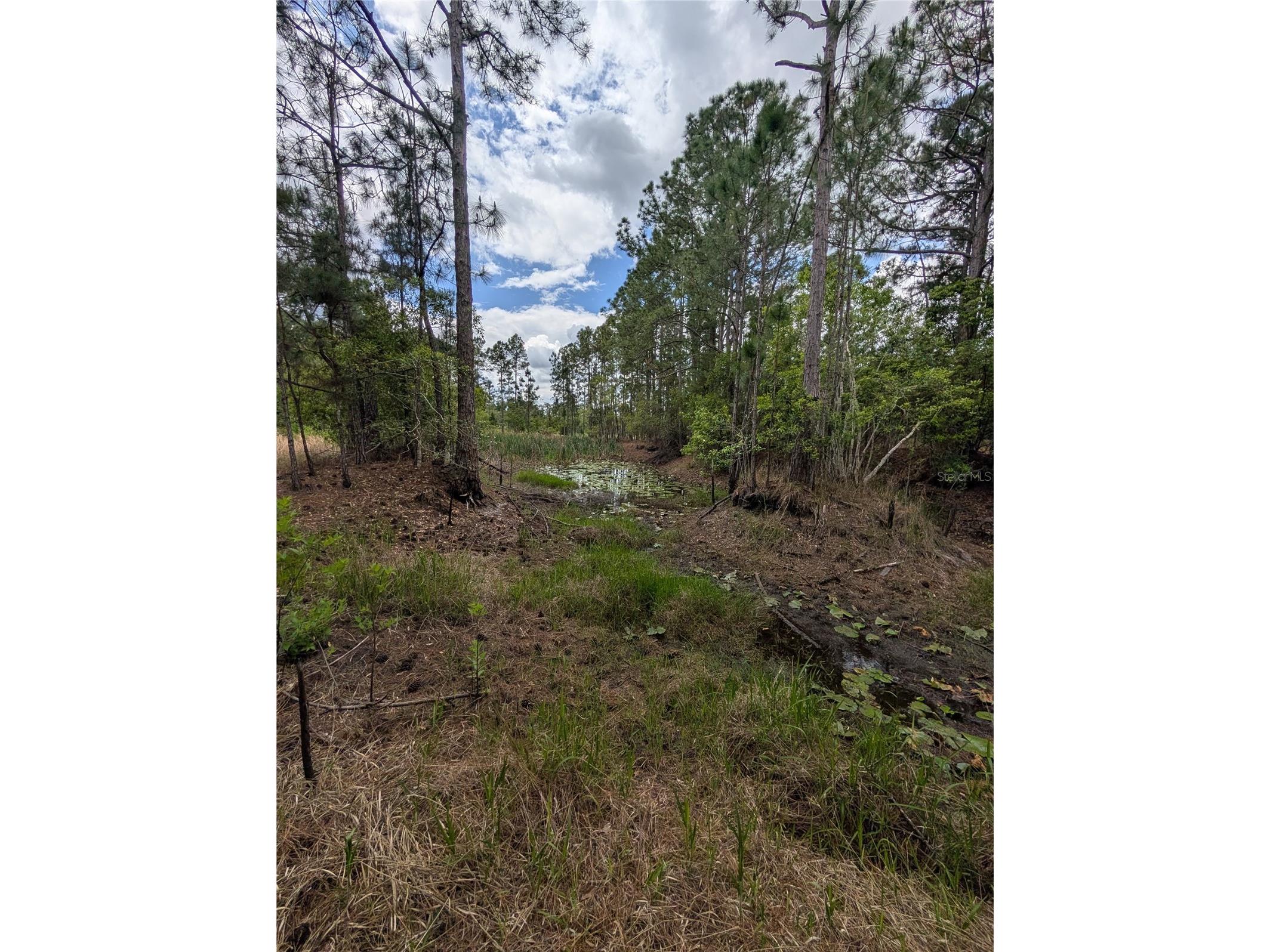 38521 Ilex Trail Eustis FL 32736 O6402556 image13