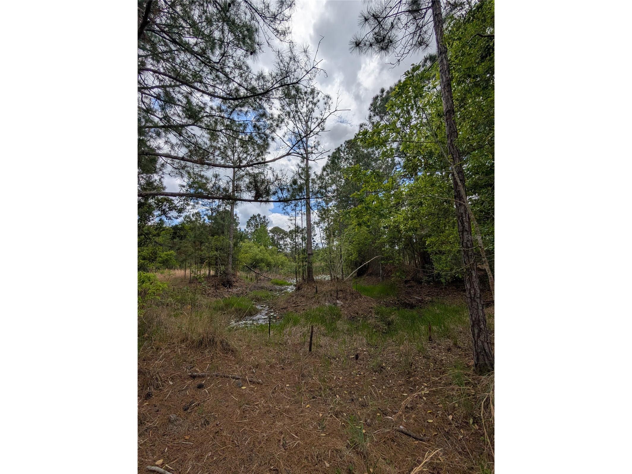 38521 Ilex Trail Eustis FL 32736 O6402556 image20