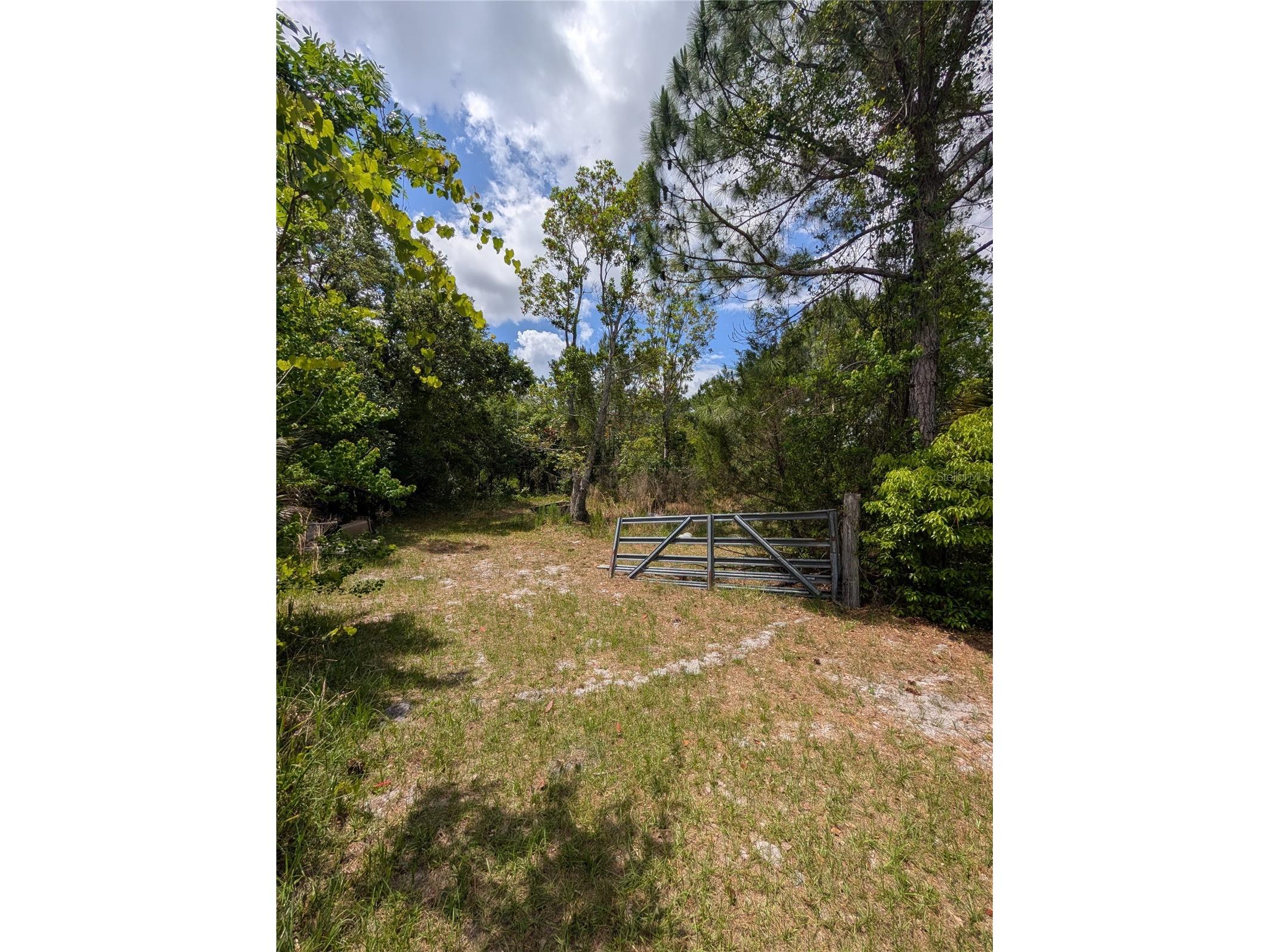38521 Ilex Trail Eustis FL 32736 O6402556 image29