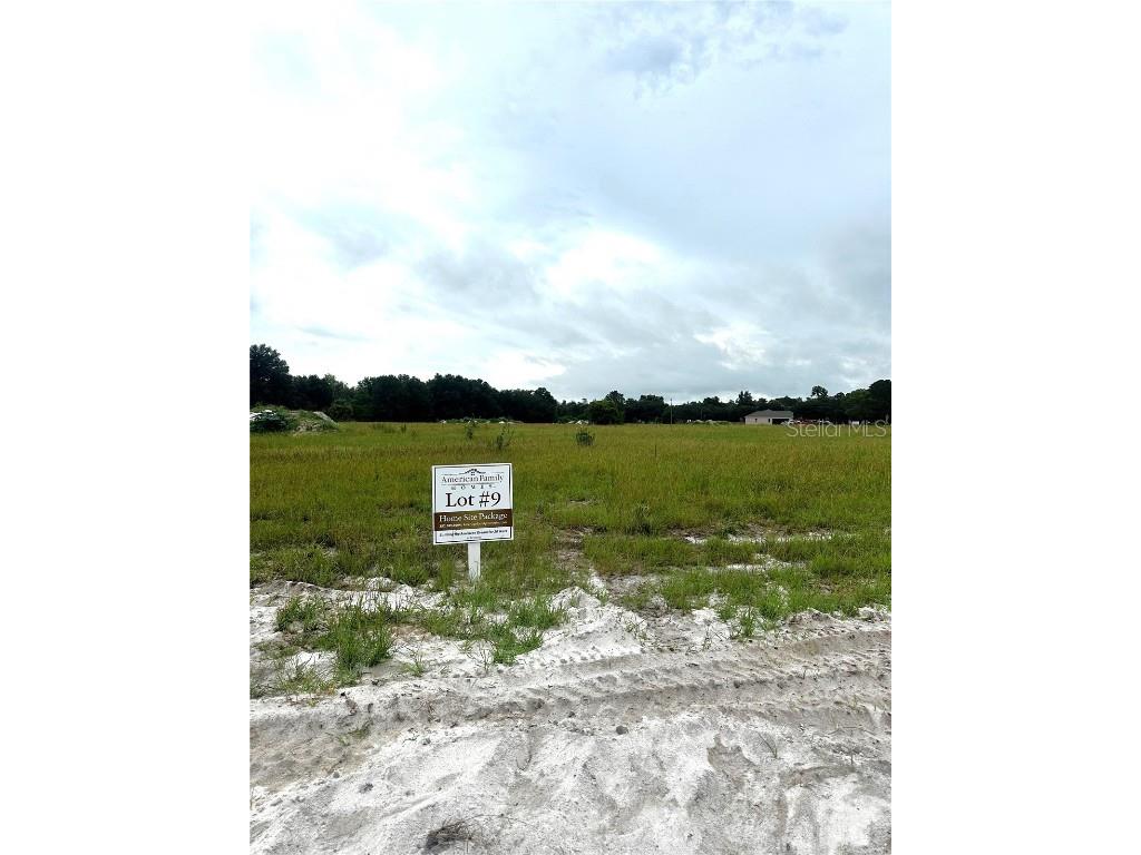 38521 Wooded Meadow Drive Umatilla FL 32784 - LAKE DALHOUSIE G5084775 image1