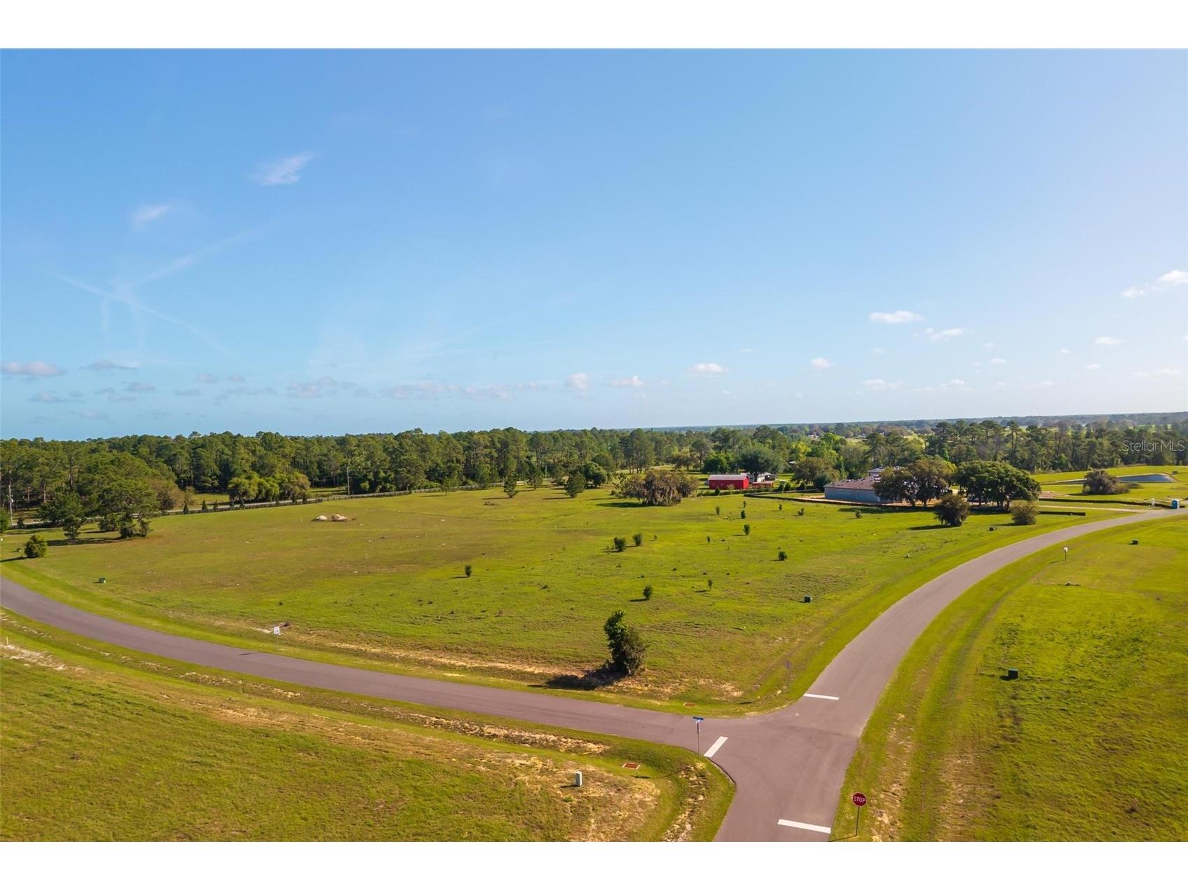 38529 Wooded Meadow Drive Umatilla FL 32784 - LAKE DALHOUSIE G5110617 image1