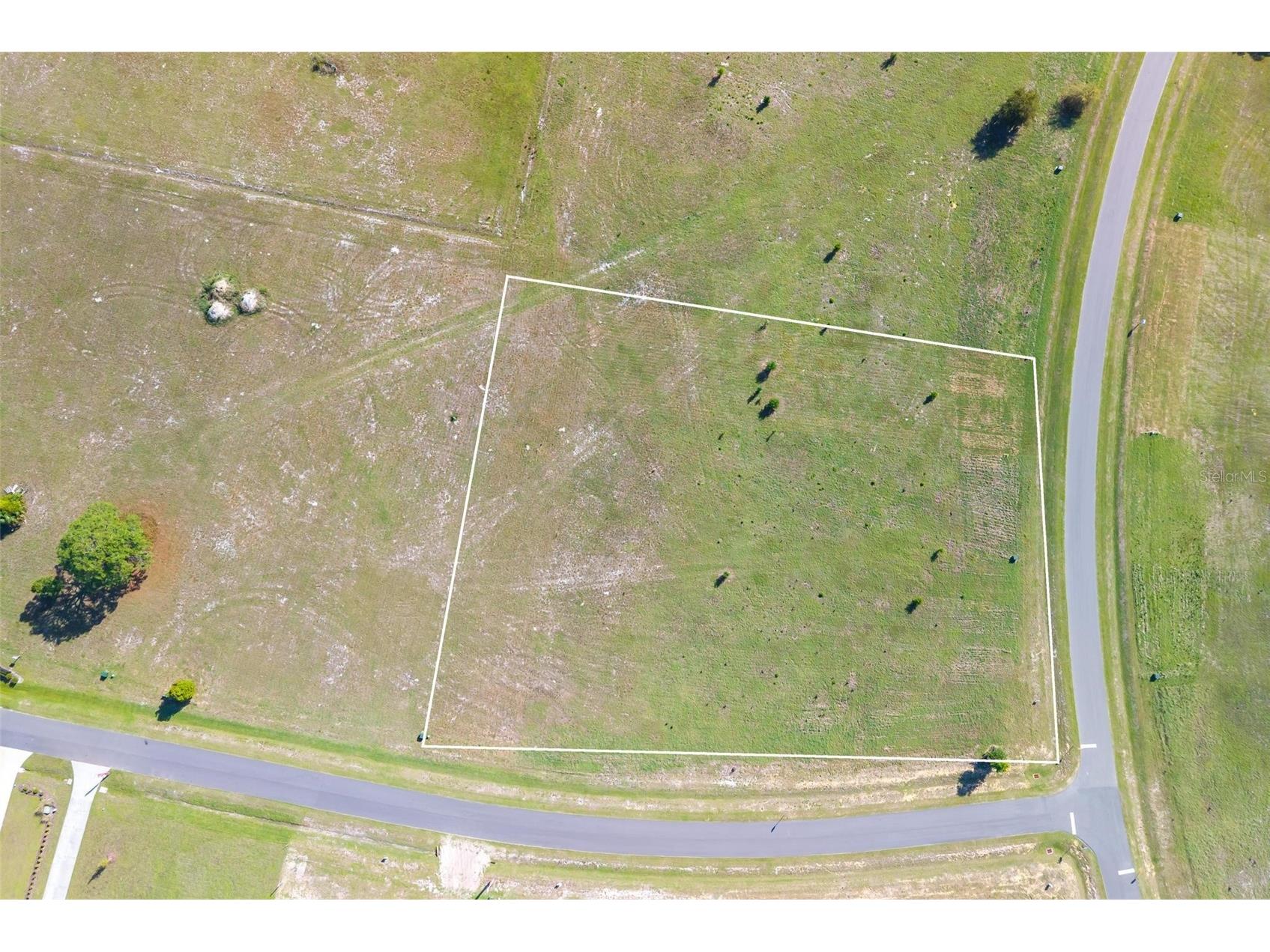 38529 Wooded Meadow Drive Umatilla FL 32784 - LAKE DALHOUSIE G5110617 image23