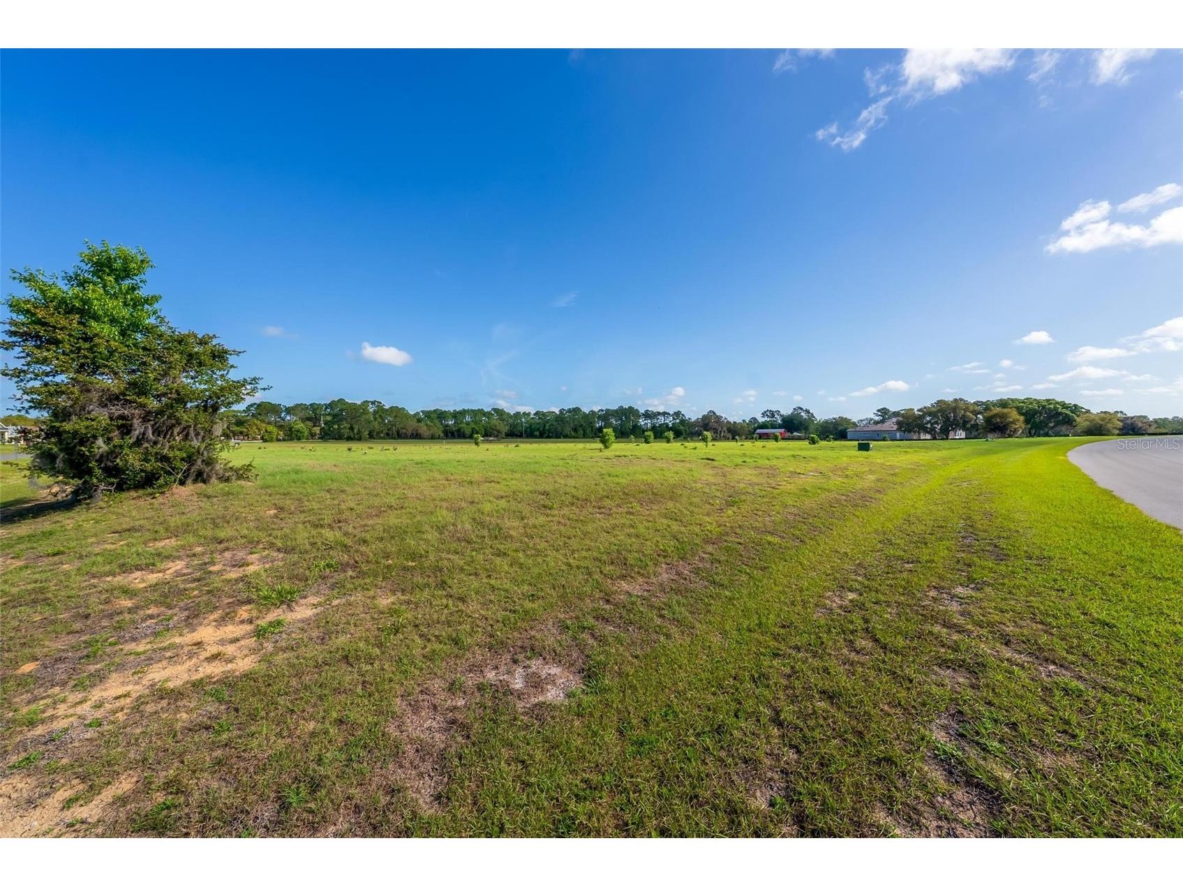 38529 Wooded Meadow Drive Umatilla FL 32784 - LAKE DALHOUSIE G5110617 image27