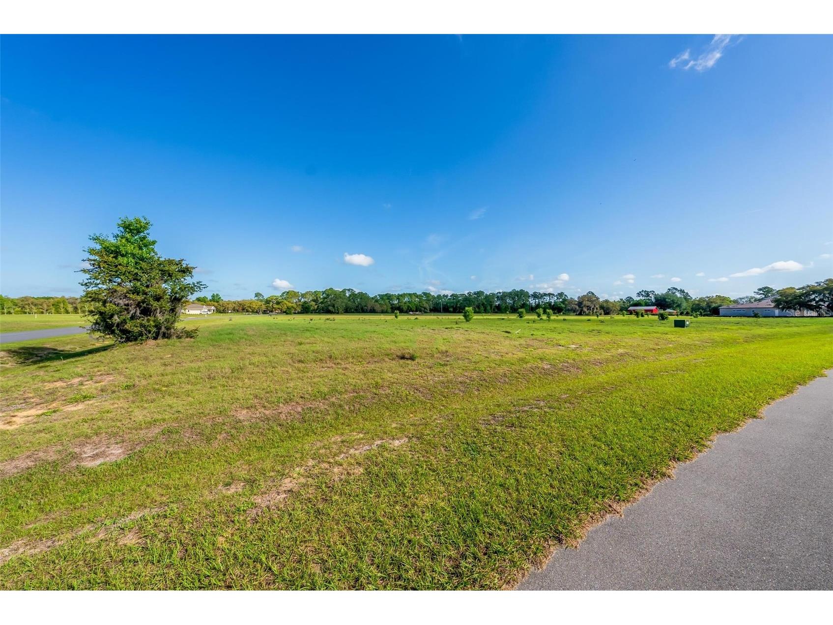 38529 Wooded Meadow Drive Umatilla FL 32784 - LAKE DALHOUSIE G5110617 image28