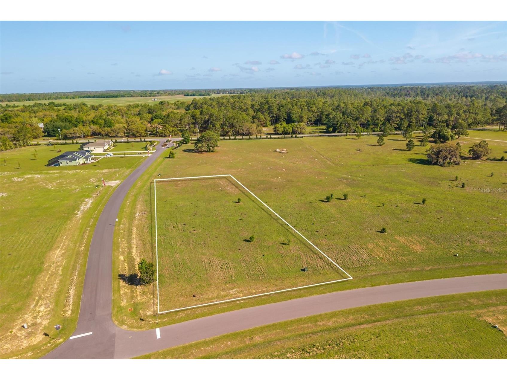 38529 Wooded Meadow Drive Umatilla FL 32784 - LAKE DALHOUSIE G5110617 image8