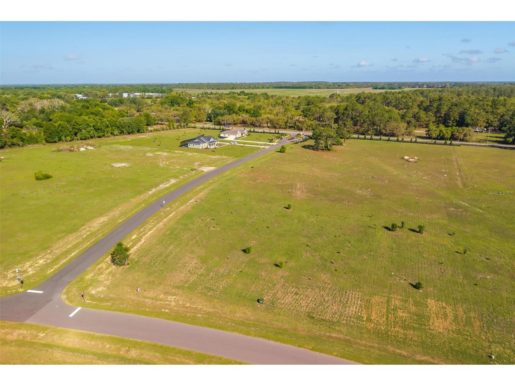 38529 Wooded Meadow Drive Umatilla FL 32784 - LAKE DALHOUSIE G5110617 image9