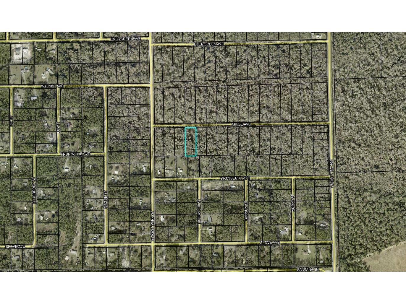 3853 Apple Avenue Bunnell FL 32110 FC316253 image1