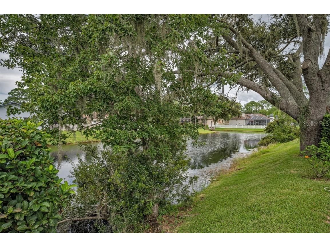 3853 Sunrise Lane Tarpon Springs FL 34688 TB8422035 image38