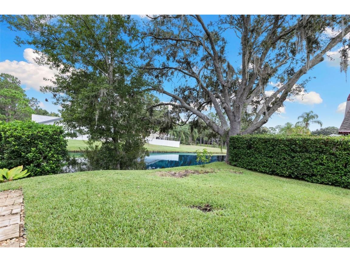 3853 Sunrise Lane Tarpon Springs FL 34688 TB8422035 image39